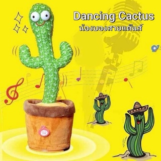 Dancing Cactus น้องบองสายแด๊นส์