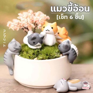 สินค้า แมวขี้อ้อน เซ็ท 6 ตัว ตุ๊กตาจิ๋ว โมเดลจิ๋ว แต่งสวน