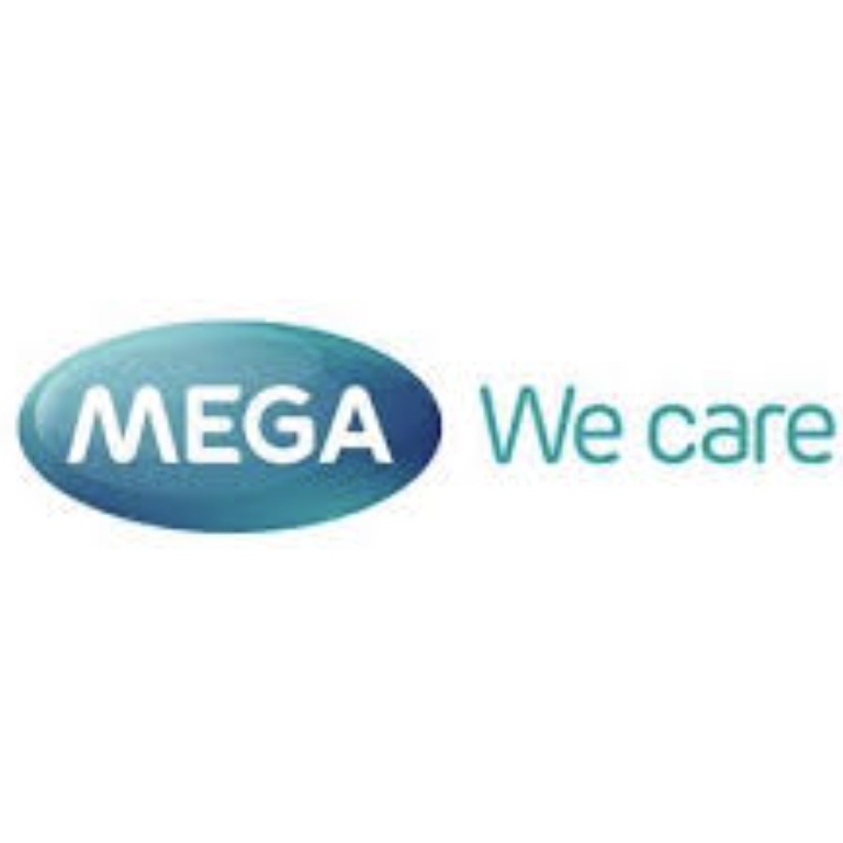 set-hi-green-mega-wecare-ชาเขียวสกัด-เมก้าวีแคร์-จำนวน-4-กล่อง