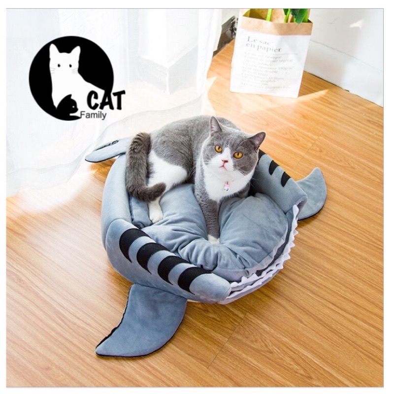 บ้านฉลาม-พร้อมส่ง-ที่นอนหมา-ที่นอนแมว-เบาะนอนรูปฉลาม-ที่นอนแมวรูปฉลาม-ที่นอนหมารูปฉลาม-บ้านหมา-บ้านแมว