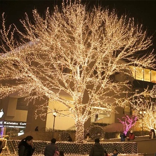 ภาพหน้าปกสินค้า8M 100 LEDs String ไฟต้นคริสต์มาส LED Light ปีใหม่ Garland คริสต์มาสตกแต่งสวนปาร์ตี้วันหยุด Orkmrt ที่เกี่ยวข้อง
