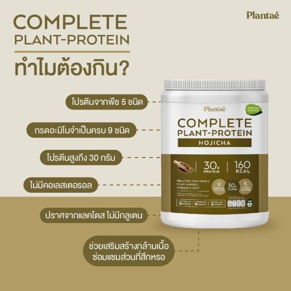 plantae-เครื่องดื่มโปรตีนจากพืชรสโฮจิฉะ1000g-41610