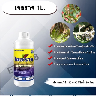 เจอราจ 1L. โพรคลอราช โรคแอนแทรคโนส โรคกุ้งแห้งพริก โรคช่อดอกดำ โรคสแคป โรคเมล็ดด่างในข้าว โรคหอมเลื้อย โรคดาวกระจาย