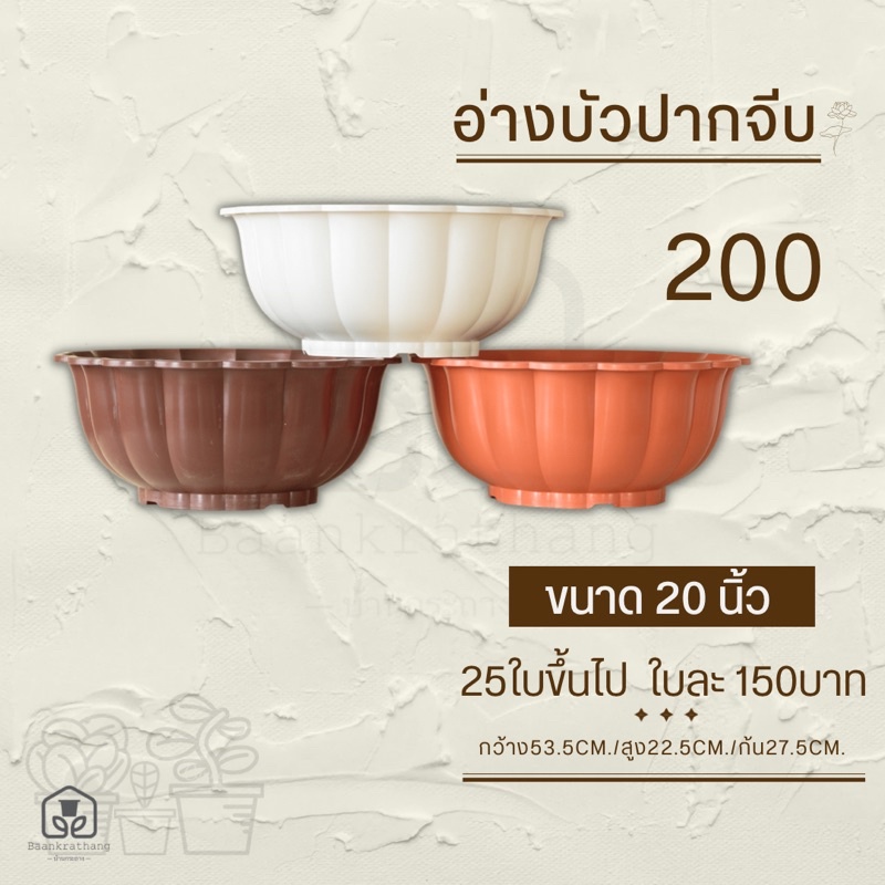 อ่างบัวปากจีบ-20นิ้ว