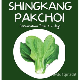 PAKCHOI Shingkang Green (approx 1,028 seeds) Vegetable Seed上衣/芹菜/花园/母婴/鲜花/文胸/手链/种子/木瓜/园艺/ ZLLR