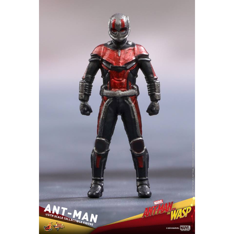 ฟิกเกอร์-ของสะสม-hot-toys-mms497-ant-man-and-the-wasp-ant-man