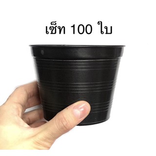 กระถางแคคตัส กระถางกระบองเพชร กระถางต้นไม้ ปากกว้าง 4 นิ้ว เซ็ท 100 ใบ