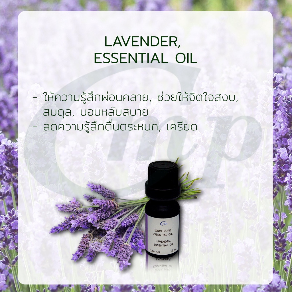 น้ำมันหอมระเหย-ลาเวนเดอร์-lavender-essential-oil