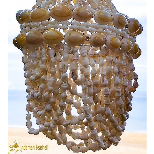 andaman-seashell-โมบายแชนเดอเรียเปลือกหอย-ทรงโดม-หอยนาซา-5-x-10