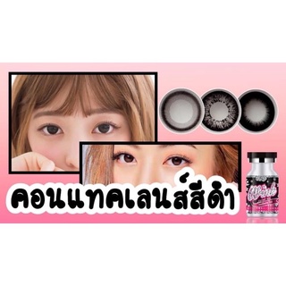 🖤 BLACK 🖤 สีดำ มินิ / บิ๊กอาย Contact lens คอนแทคเลนส์ mini Morgan Cleo Hyper Shine Brownie Circle สายตาปกติ Bigeye ตาโต