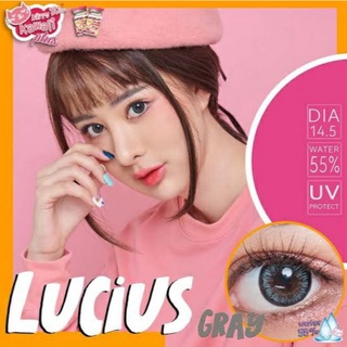 💖 Kitty Kawaii  Lucius สายตา -00 ถึง-1000 brown gray blue Contactlens บิ๊กอาย คอนแทคเลนส์