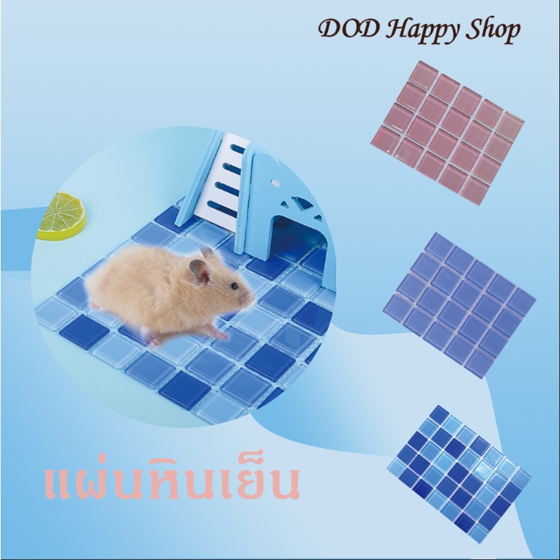 dod-แผ่นหินเย็นของหนูแฮมสเตอร์-แผ่นคลายร้อนหนูแฮมสเตอร์-แผ่นเย็นสัตว์เลี้ยง-พร้อมส่ง