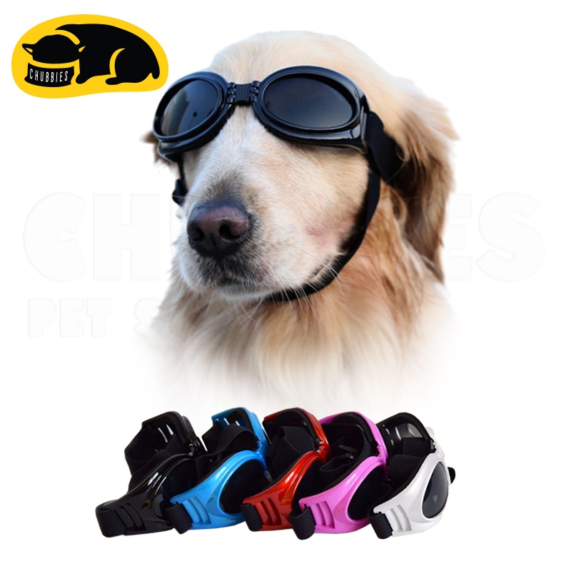 ภาพหน้าปกสินค้าพร้อมส่ง C166-L-B แว่นตาสุนัข หมาใหญ่ กันแดดกันลม สายปรับขนาดได้ 40-90cm แว่นตา แว่นตาป้องกัน แว่นกันแดดสุนัข