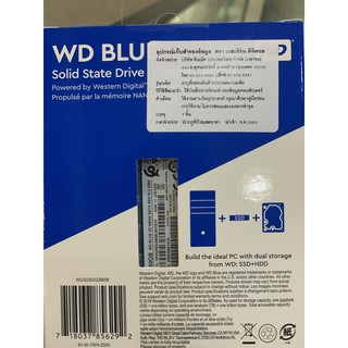 WD SSD 250 GB   Blue 3D NAND (WDS250G2B0B) M.2 Capacity : 250 GB