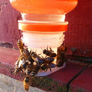 อุปกรณ์การเลี้ยงผึ้ง 5 ชิ้น