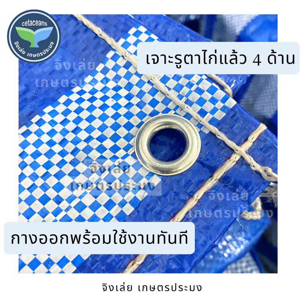 ผ้าฟาง-ผ้าฟางเย็บสำเร็จรูป-4x4-4x5-4x6-5x5-5x6-6x6-เมตร-ผ้าฟางเย็บ-ผ้าบลูชีท-ผ้ากันฝน-ผ้าฟางกันแดด-ผ้าฟางฟ้าขาว