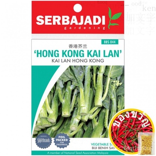 SERBAJADI HONG KONG KAILAN SEEDS (BBS044) Kai Lan / Vegetable seed / Benih Sayur เมล็ดผักชี/ผักกาดหอม /แอปเปิ้ล/หมวก/มะล