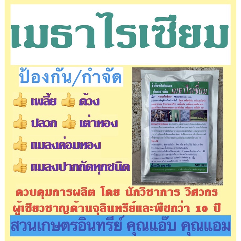 เมธาไรเซียม-100กรัม-กำจัด-ป้องกันเพลี้ย-ปลวก-ด้วงมะพร้าว-ด้วงหนวดยาว-ด้วงเจาะต้นพืช-หนอนด้วงเจาะพืช-แมลงปากกัดทุกชนิด