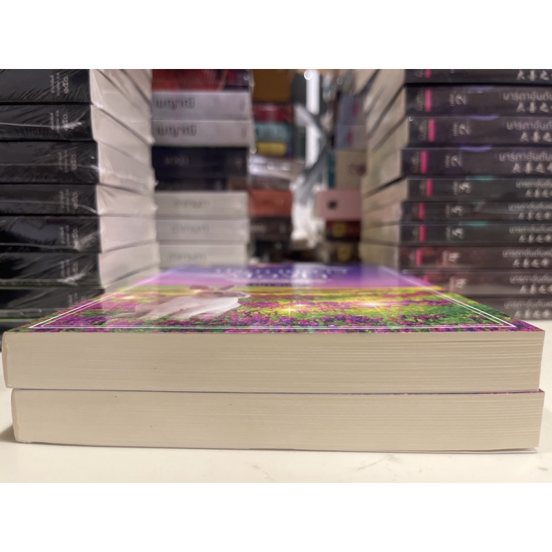 หนังสือมือหนึ่ง-ประกายดาวส่องใจ-ติกาหลัง-แถมปกใส