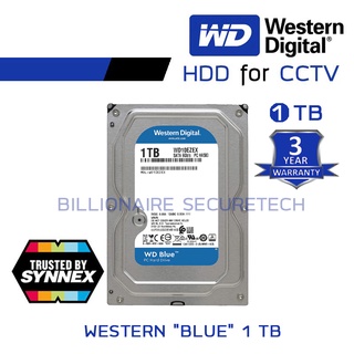 ภาพหน้าปกสินค้าWD BLUE 1TB 3.5\" WD10EZEX ( สีฟ้า ) BY BILLIONAIRE SECURETECH ที่เกี่ยวข้อง