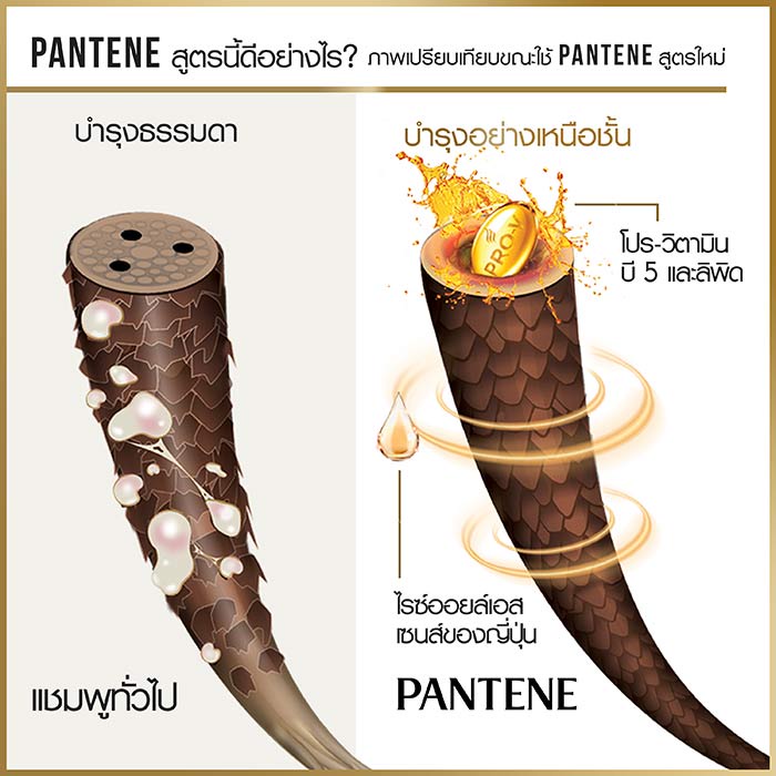แพนทีน-แชมพูและครีมนวดผม-สูตรแฮร์ฟอล-คอนโทรล-380-มล-แพ็ค-1-1