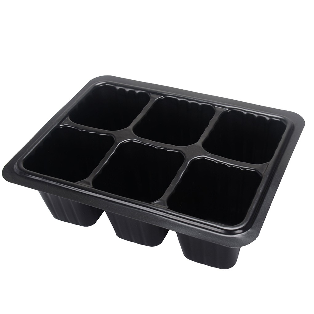 กล่องปลูกเมล็ดพืช-รักษาความชื้น-แบบ-6-ช่อง
