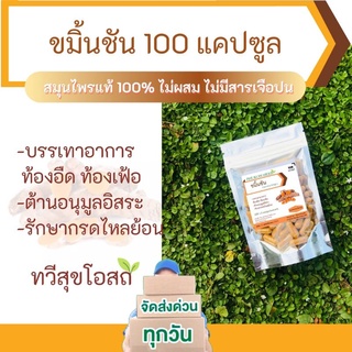 สินค้า ขมิ้นชันแคปซูล 100 เม็ด ลดกรดไหลย้อน ขับลม บรรเทาอาการแน่น จุกเสียด ขมิ้นชันอภัยภูเบศร์