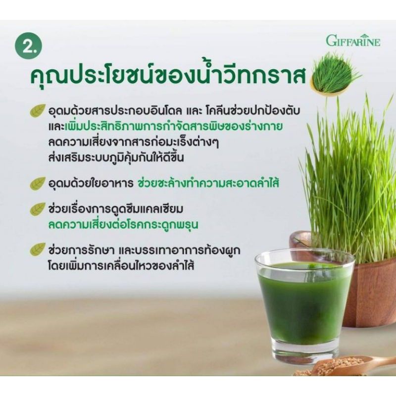 ส่งฟรี-วีทกราส-กิฟฟารีน-giffarine-wheat-grass-น้ำคั้นจากต้นอ่อนข้าวสาลี