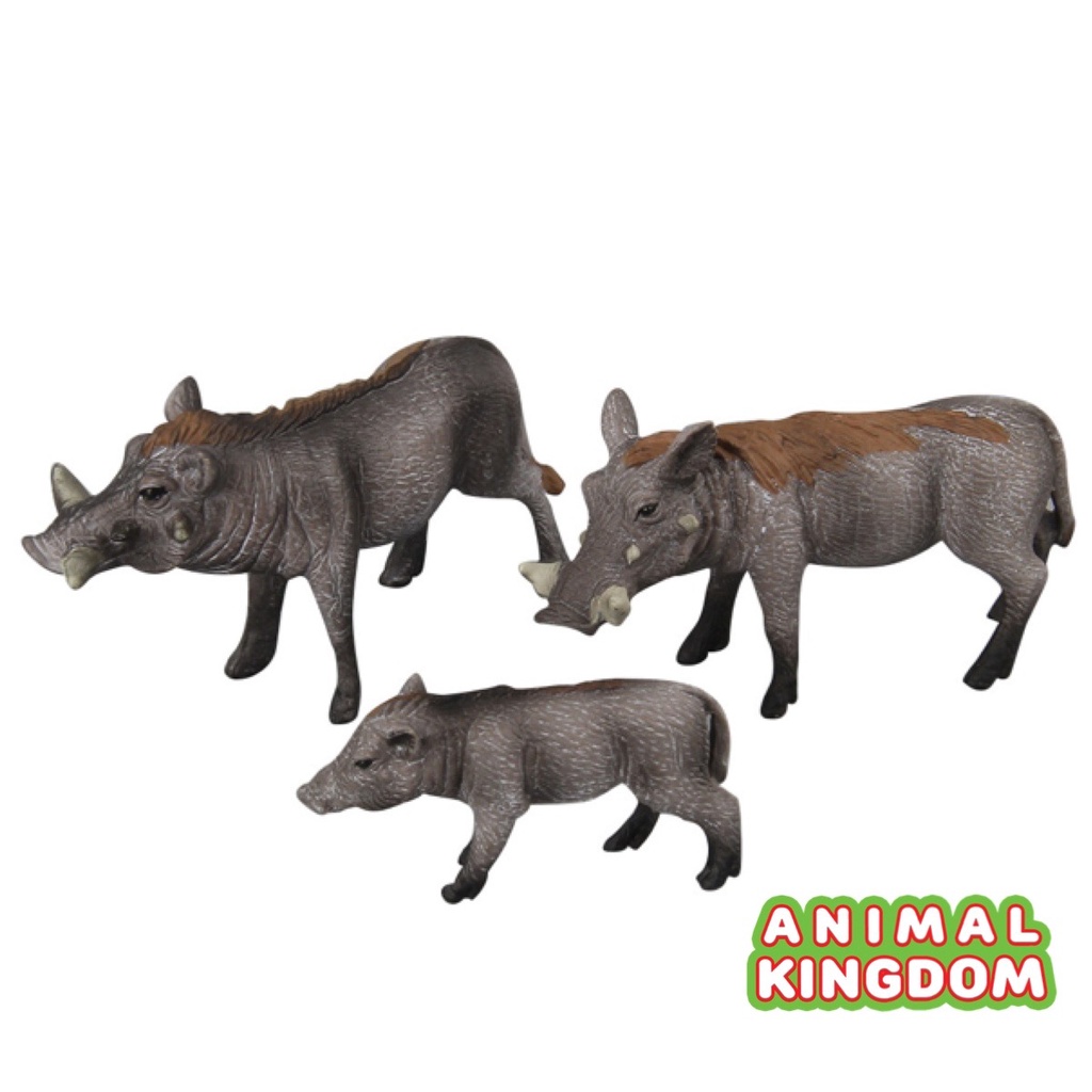 animal-kingdom-โมเดลสัตว์-หมูป่า-พ่อแม่ลูก-ชุด-3-ตัว-จากหาดใหญ่