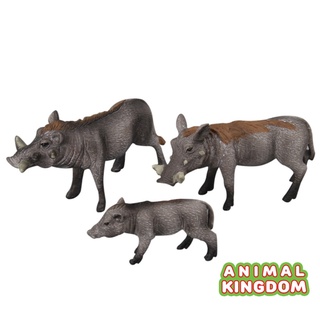 Animal Kingdom - โมเดลสัตว์ หมูป่า พ่อแม่ลูก ชุด 3 ตัว (จากหาดใหญ่)