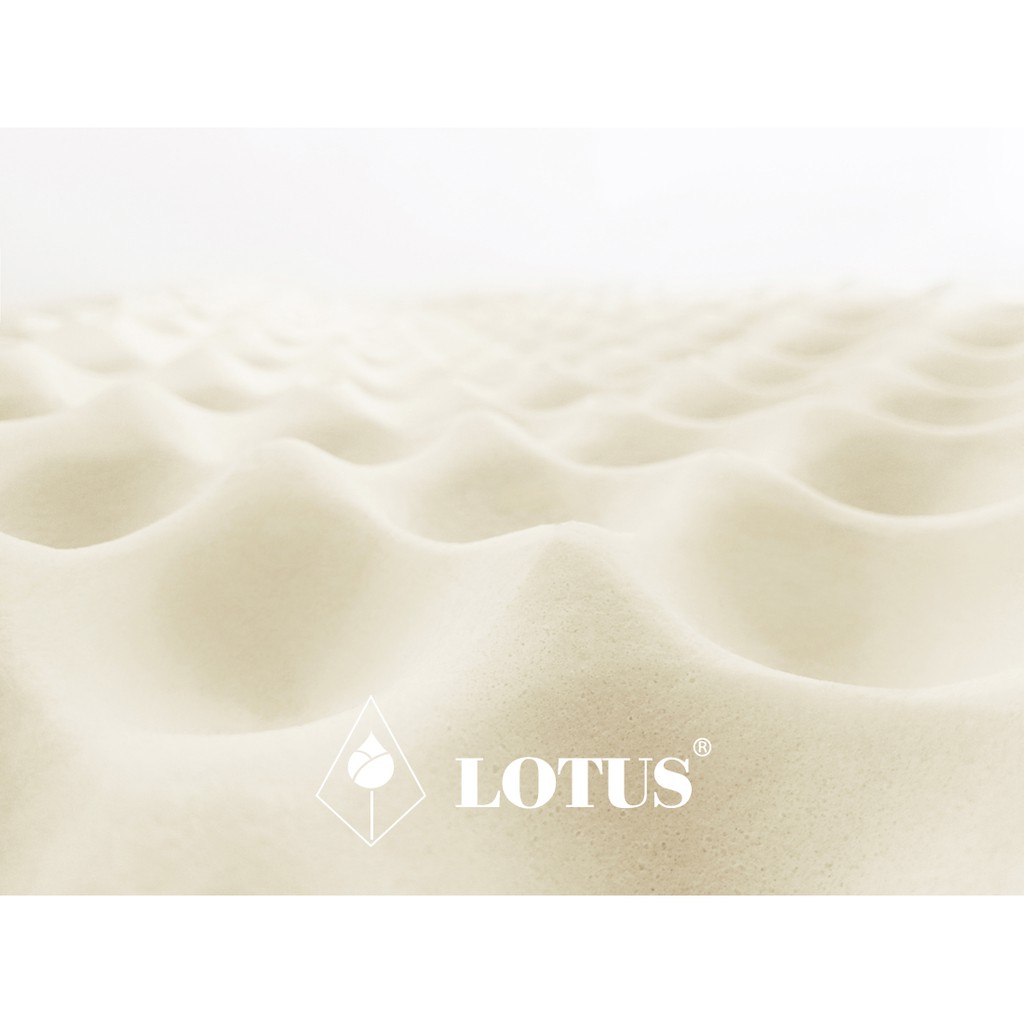 lotus-หมอนหนุนยางพารา-neck-massage-20-x30