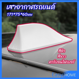 เสาอากาศรถยนต์ เสาอากาศครีบฉลาม    car antenna