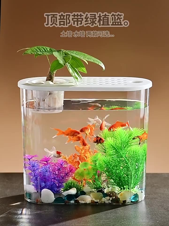 blala-fishtank-ชามไฮโดรโปนิกส์-แบบตั้งโต๊ะ-สําหรับปลูกพืช-สวนขวด