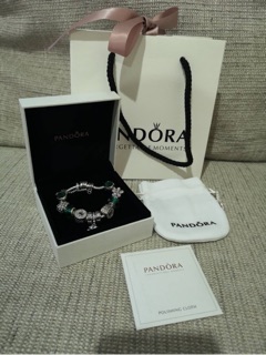 ภาพขนาดย่อของภาพหน้าปกสินค้าชุดอุปกรณ์pandora กล่องกำไล ถุงกระดาษ ถุงผ้า ผ้าขัด จากร้าน pascal.official บน Shopee ภาพที่ 2