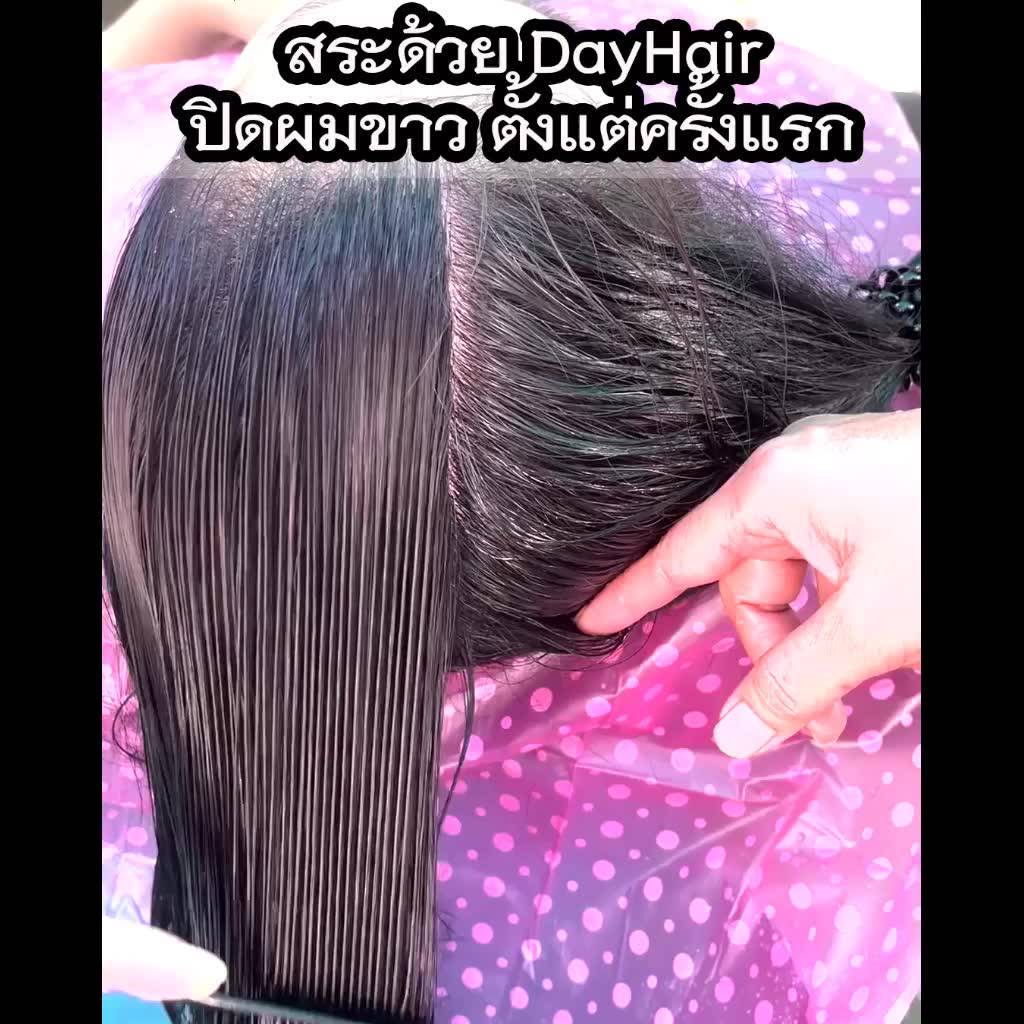 dayhair-เดย์แฮร์-แชมพูสมุนไพรปิดผมขาว-สีน้ำตาลธรรมชาติ-ปลอดภัย-กลิ่นไม่ฉุน-ไม่ติดหนังศีรษะ
