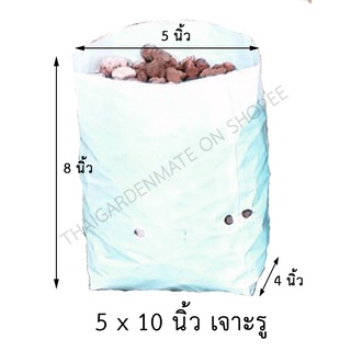 ภาพขนาดย่อของภาพหน้าปกสินค้า(30 ใบ) ถุงปลูก สตรอเบอรี่ ดอกดาวเรือง ผักสลัด ขนาด 5x10 นิ้ว เจาะรู จากร้าน cactusgg บน Shopee ภาพที่ 1