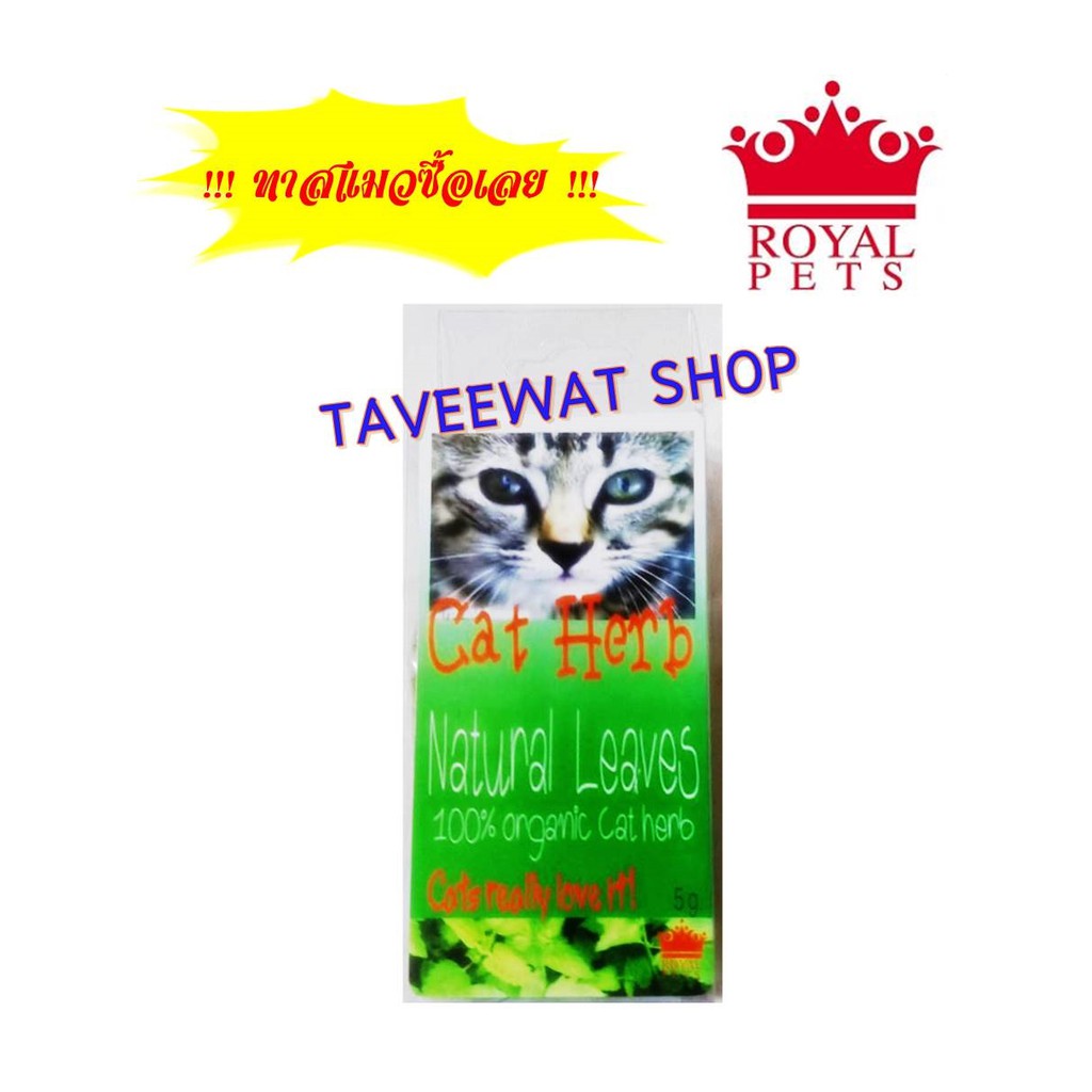 ภาพหน้าปกสินค้าROYAL PETS CATNIP สมุนไพรแมว 5 กรัม ผ่อนคลาย ย้ายที่ เล่นของเล่น ไม่เสพย์ติด ลดความเครียด รักทาสแมว เจริญอาหาร จากร้าน taveewat_shop บน Shopee