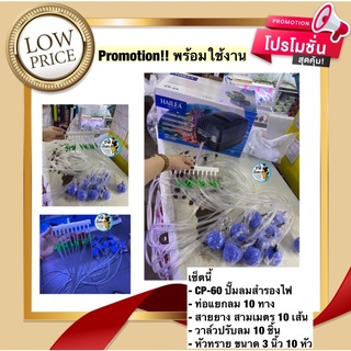 PROMOTION ปั๊มลมสำรองไฟอัตโนมัติ CP-60 พร้อมวาล์วปรับลม สายยาง และหัวทราย พร้อมใช้งาน