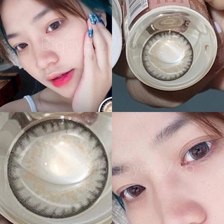 ✨Gray ขนาดตาโต (Bigeyes) ☀️กรองแสง uv ✔️จดทะเบียนถูกต้อง 🇰🇷คอนแทคเลนส์สัญชาติเกาหลี🇰🇷