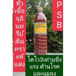 หัวเชื้อจุลินทรีย์สังเคราะห์แสง1-5ลิตร1ขวดพร้อมวิธีการใช้และขยายเชื้อ