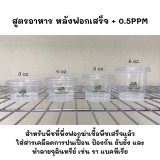 ภาพขนาดย่อของภาพหน้าปกสินค้าจัดเซต 6 + PPM - อาหารเพาะเลี้ยงเนื้อเยื่อพืช จากร้าน bonnie.planttissue บน Shopee ภาพที่ 7