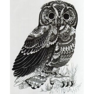 Tattoo แผ่นใหญ่ ลาย​ นกฮูก​ Owl