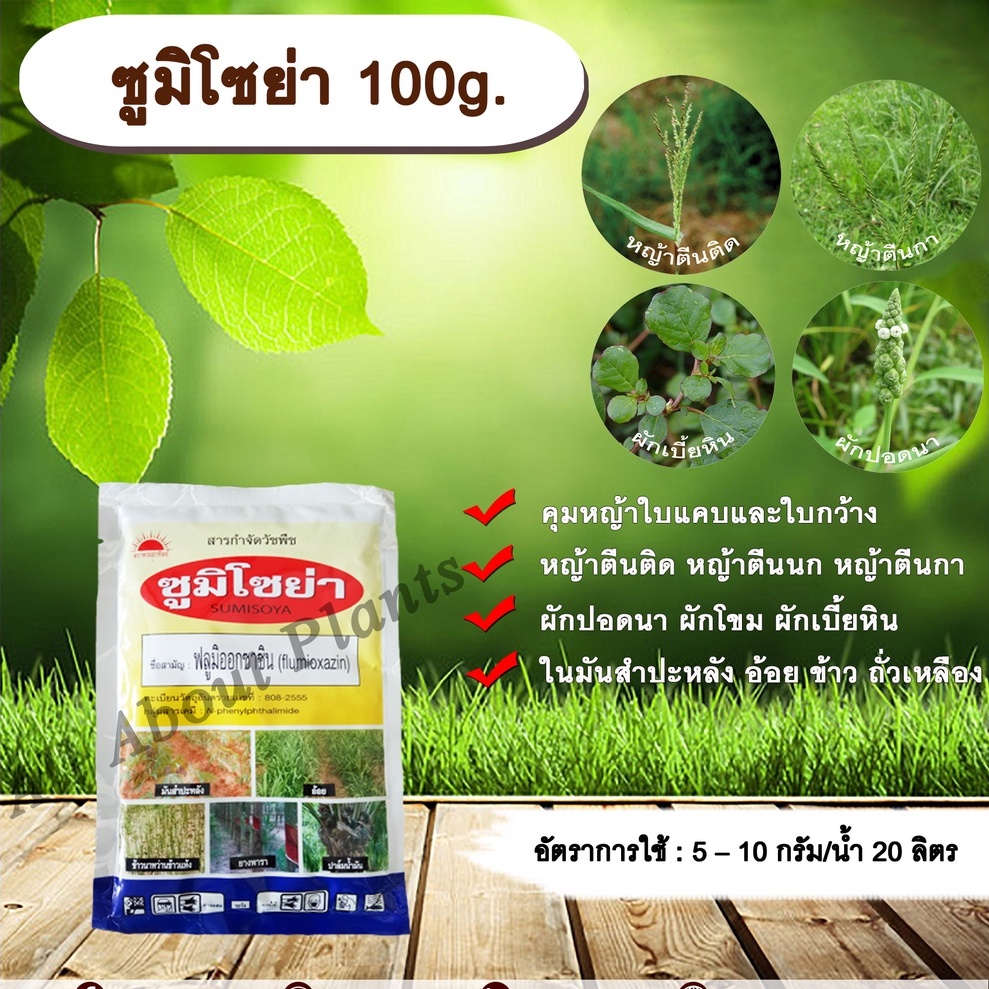 ซูมิโซย่า-100g-ฟลูมิออกซาซิน-สารคุมและกำจัดหญ้าใบแคบบกว้างและกก-คุมแห้งในมันสำปะหลัง-อ้อย-ข้าว-ถั่วเหลืองallaboutplants