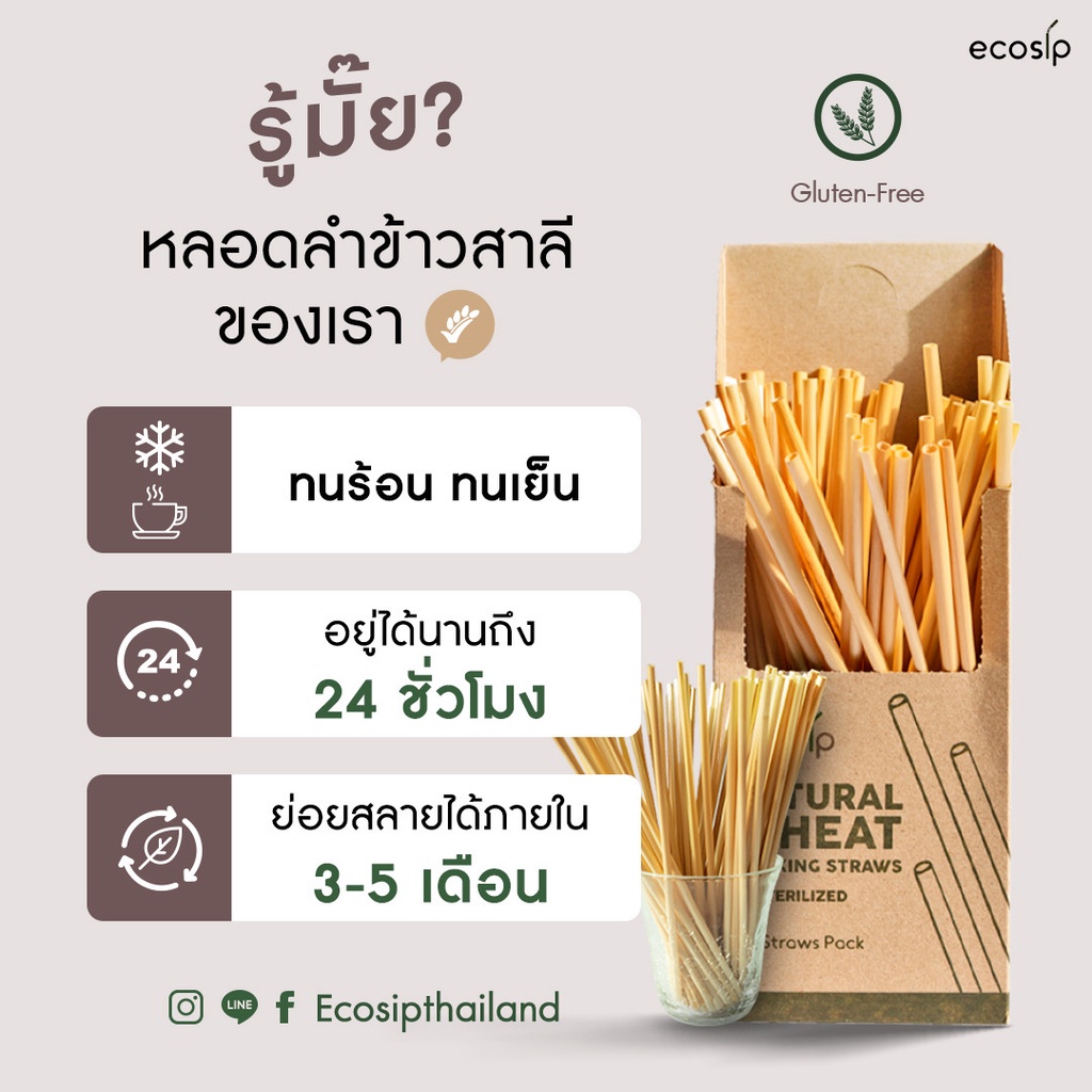 ขายส่ง-หลอดลำข้าวสาลี-natural-wheat-straw-หลอดจากธรรมชาติ-ขนาด-20-cm-3-000-หลอด-500หลอด-กล่อง