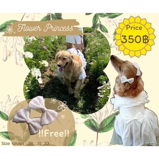 ภาพหน้าปกสินค้าFlower Princess ชุดสุนัขสีขาว ชุดแต่งงานหมา เสื้อหมาใหญ่ ชุดสุนัขใหญ่ ที่เกี่ยวข้อง