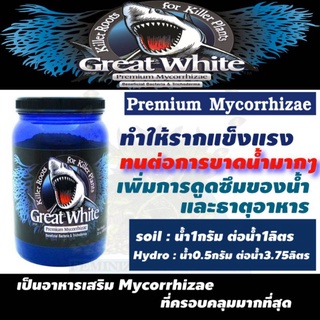 Mycorrhizae​ -​ Great White ไมครอไรซ่า