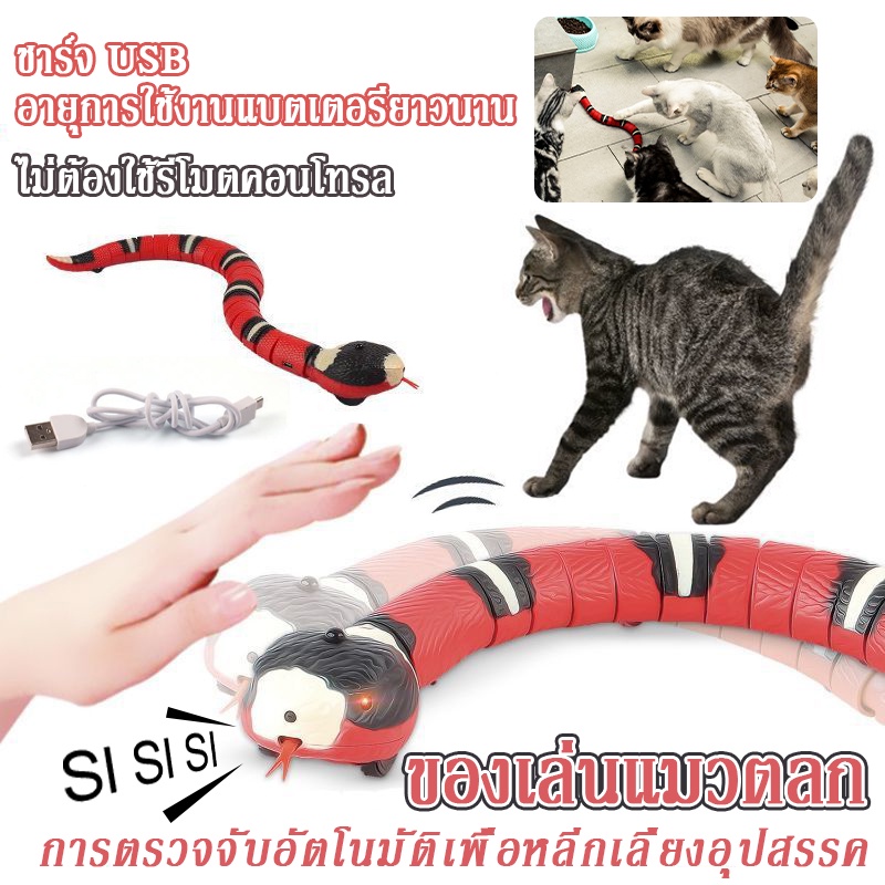 พร้อมส่ง-ของเล่นแมว-ลูกบอลแมว-งูเลื้อยแกล้งแมว-ของเล่นอุปนัย-ชาร์จusb-มีเซ็นเซอร์กันชน-ของเล่นอิเล็กทรอนิกส์-งูปลอม