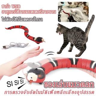 พร้อมส่ง！！ของเล่นแมว ลูกบอลแมว งูเลื้อยแกล้งแมว ของเล่นอุปนัย ชาร์จUSB มีเซ็นเซอร์กันชน ของเล่นอิเล็กทรอนิกส์ งูปลอม