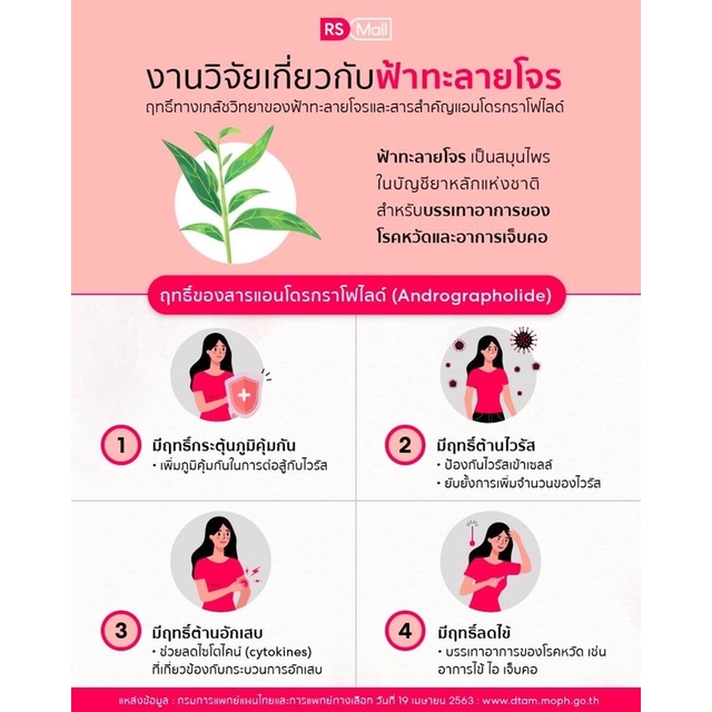 ภาพสินค้าฟ้าทะลายโจร(สารสกัด) ตรา ทองเอก (21 แคปซูล) จากร้าน rs.healthy บน Shopee ภาพที่ 3