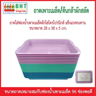 ถาดสำหรับเพาะต้นกล้าผักสลัด ถาดใส่ฟองน้ำเพาะเมล็ดผักไฮโดรโปรนิกส์ แข็งแรงทนทาน ขนาดเหมาะสมกับฟองน้ำเพาะเมล็ดพอดี